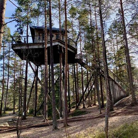 Tretopphytter Pa Grensen - Elghytta Med Robat Og Gjeddefiske Halden Bagian luar foto