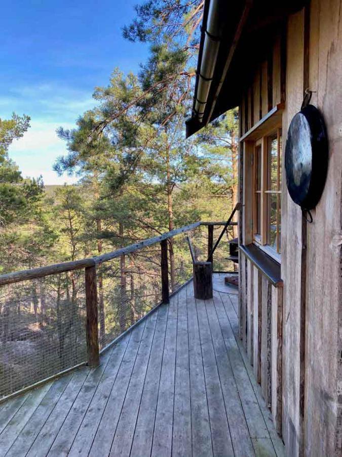 Tretopphytter Pa Grensen - Elghytta Med Robat Og Gjeddefiske Halden Bagian luar foto