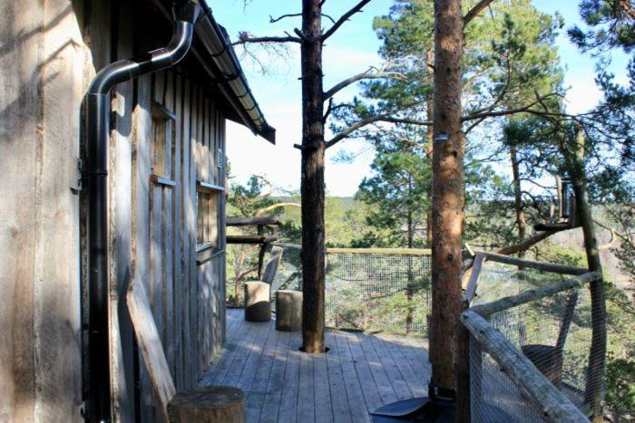 Tretopphytter Pa Grensen - Elghytta Med Robat Og Gjeddefiske Halden Bagian luar foto