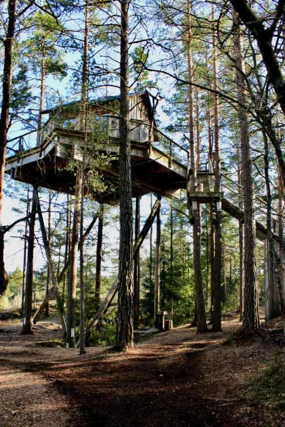 Tretopphytter Pa Grensen - Elghytta Med Robat Og Gjeddefiske Halden Bagian luar foto